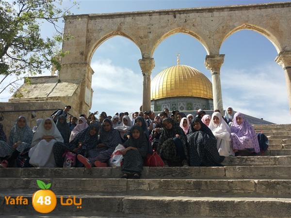 rashidiyasy 0531 (1).jpg